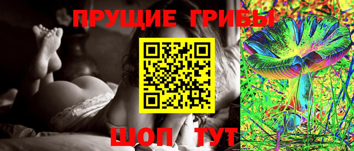 Псилоцибиновые грибы Magic Shrooms  Галлюциногенные грибы GOLDEN TEACHER  Вход с VPN  Аксай 