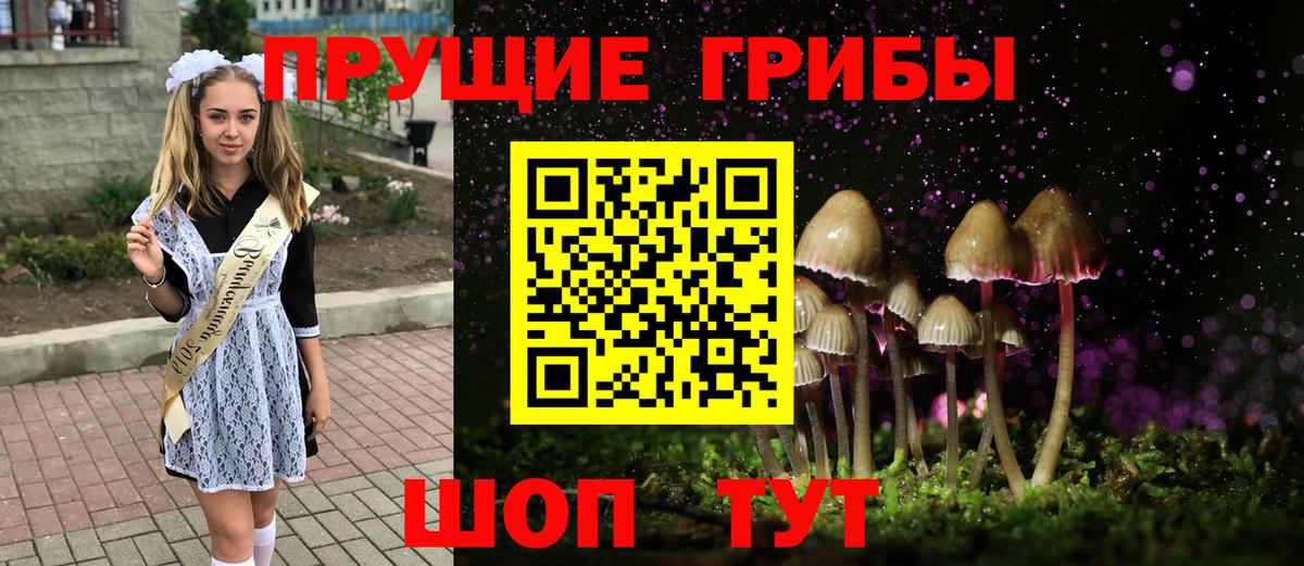 Галлюциногенные грибы GOLDEN TEACHER Аксай